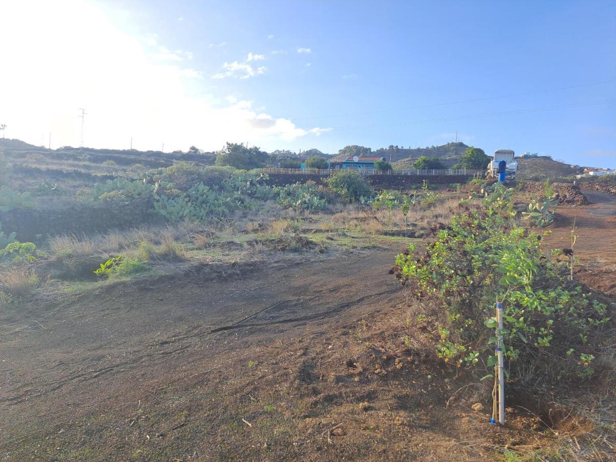 Las Casitas De Pao El Pinar  Εξωτερικό φωτογραφία