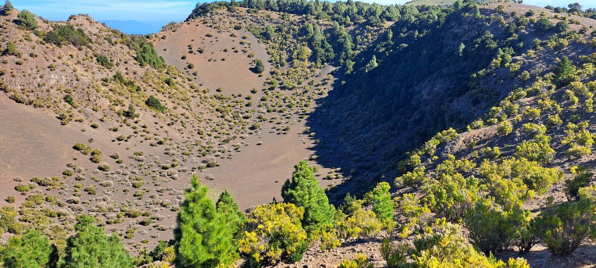 Las Casitas De Pao El Pinar  Εξωτερικό φωτογραφία