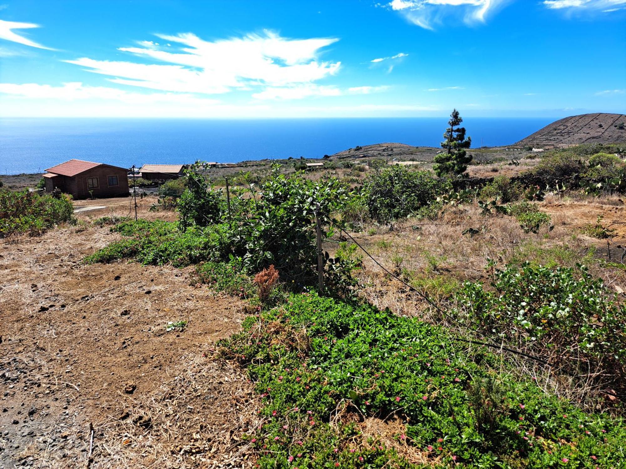 Las Casitas De Pao El Pinar  Δωμάτιο φωτογραφία
