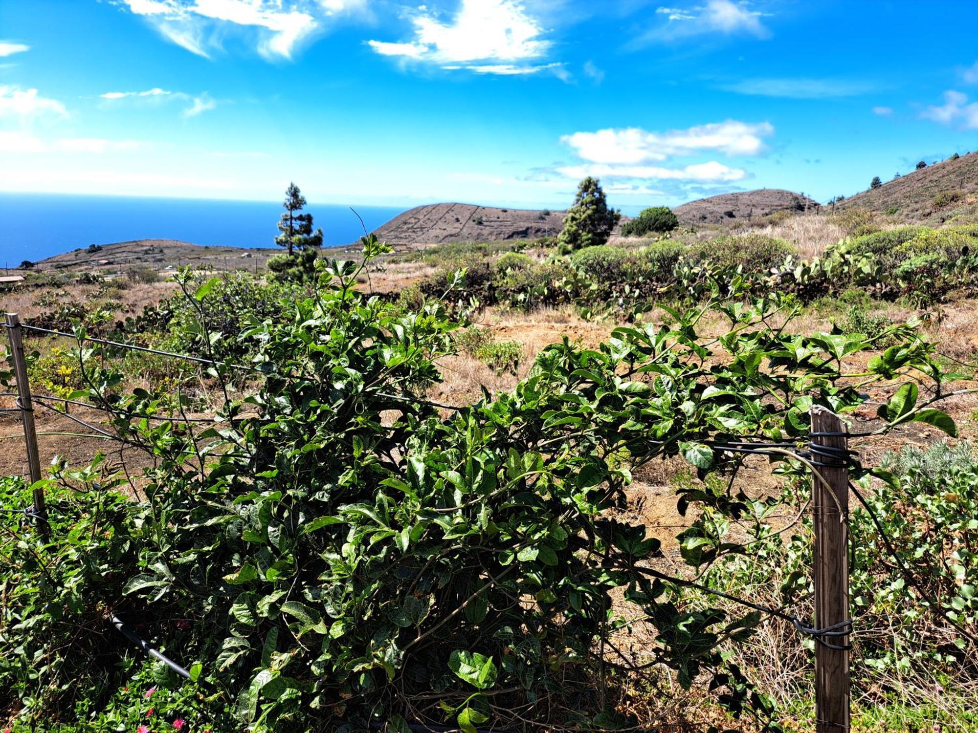 Las Casitas De Pao El Pinar  Δωμάτιο φωτογραφία